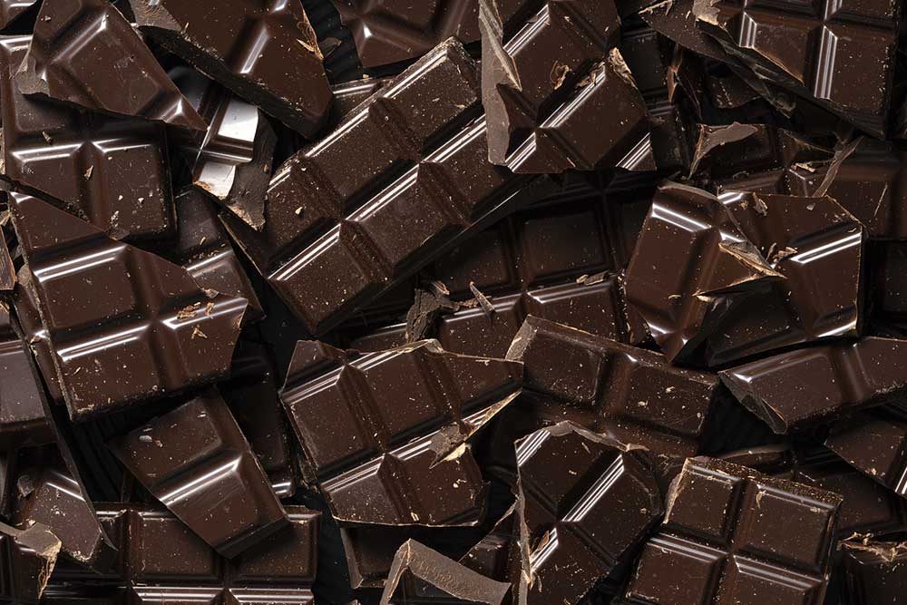 alimentos perro prohibidos chocolate