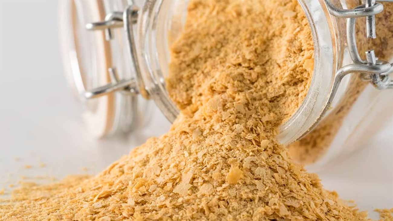complements alimentaires pour chien