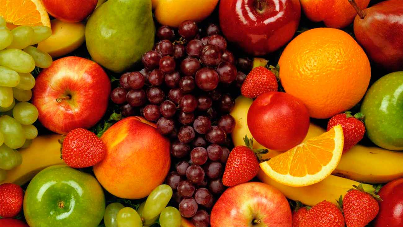 complemento dieta perros fruta verdura