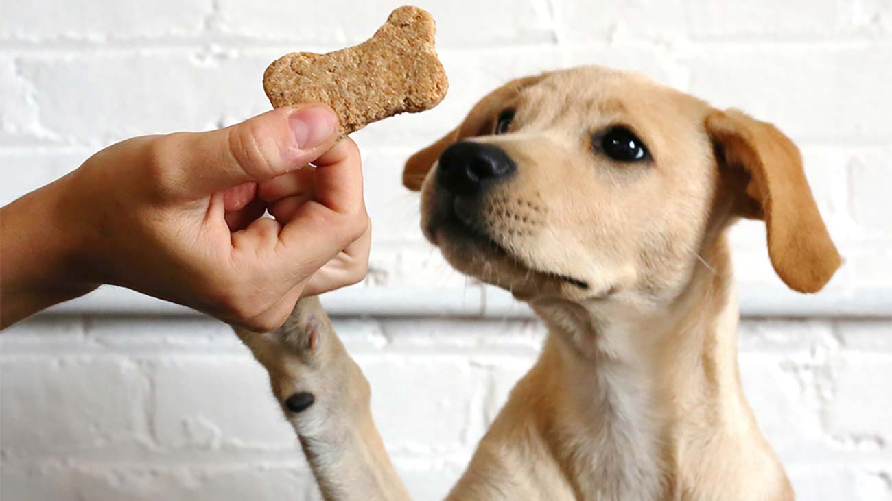 mejores snacks naturales para perros