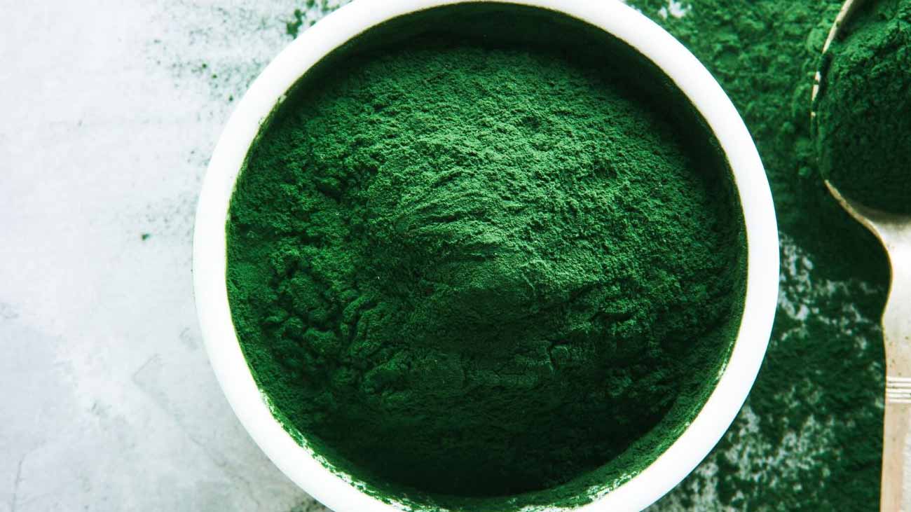 beneficios alga espirulina perros