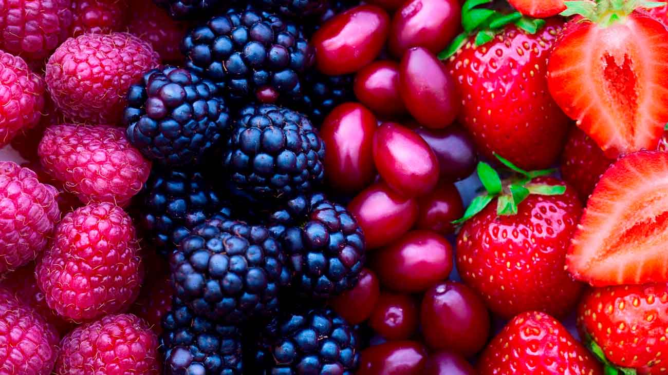 quels fruits pour les chiens