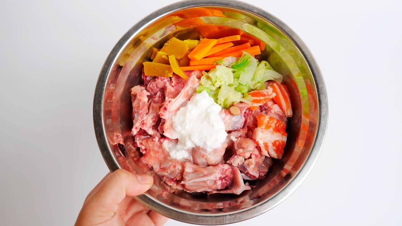 dieta-barf-cani