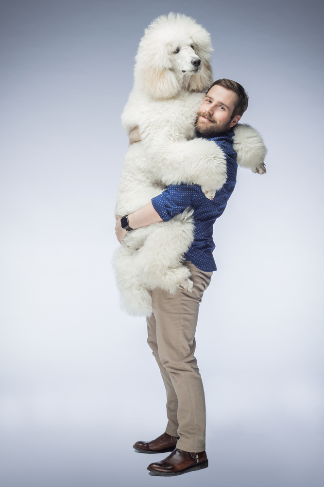 tres grand chien