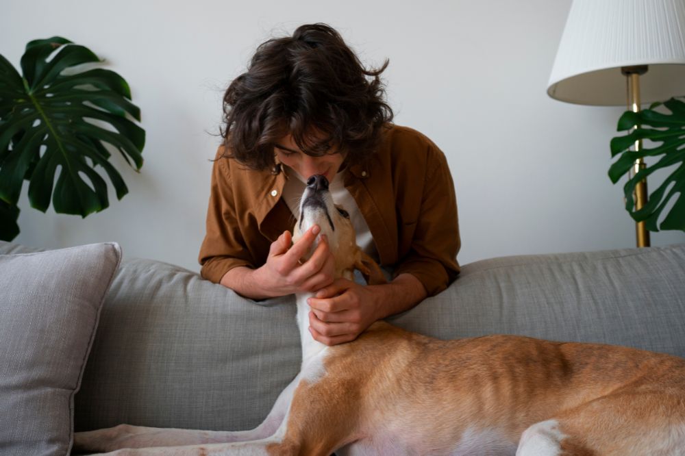 Comment prévenir l’asthme chez les chiens