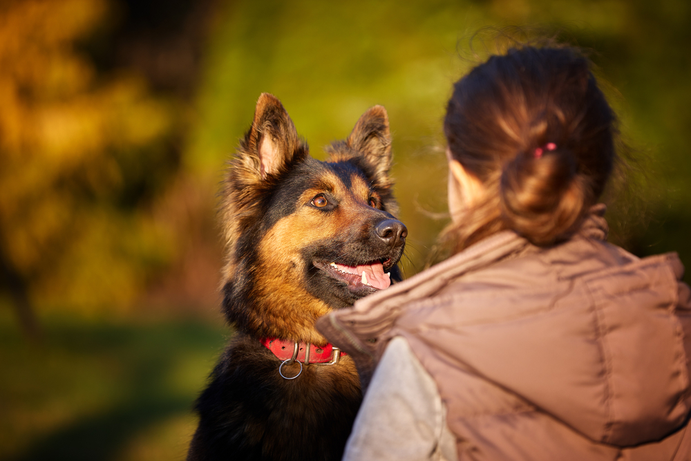 Bohemian,Shepherd,,Dog,Watches,Girl,With,Long,Hair,And,Finger