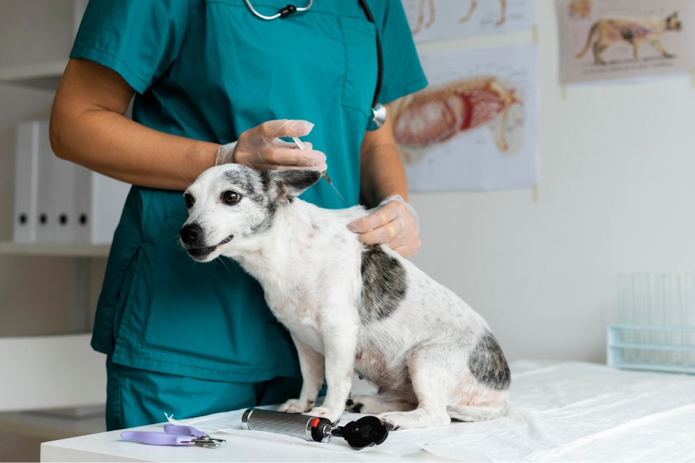 Administrer le medicament de maniere appropriee