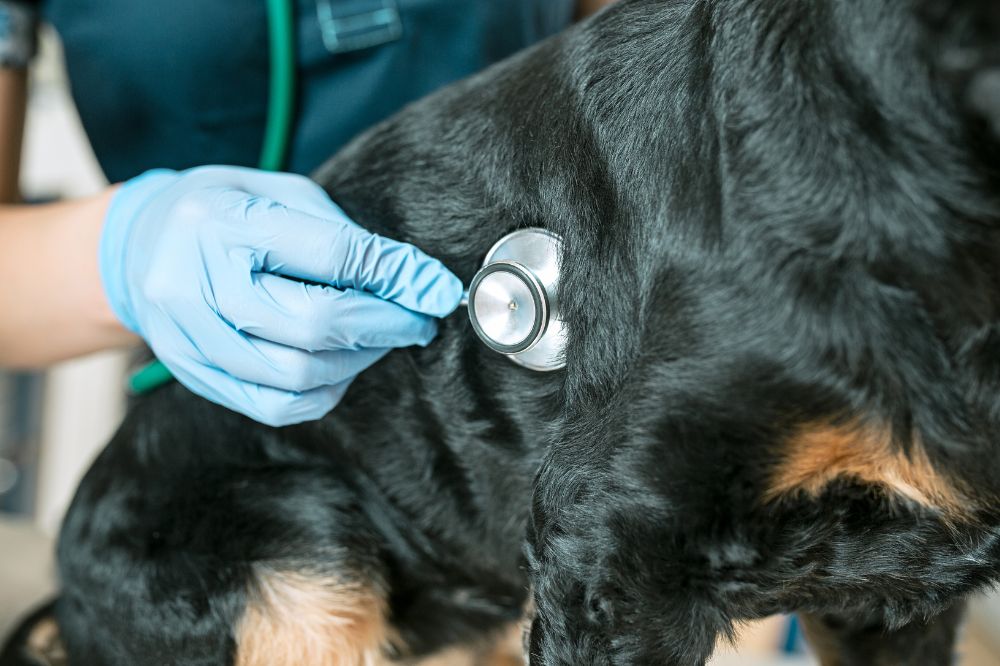 Evitare cibi allergenici e proinfiammatori