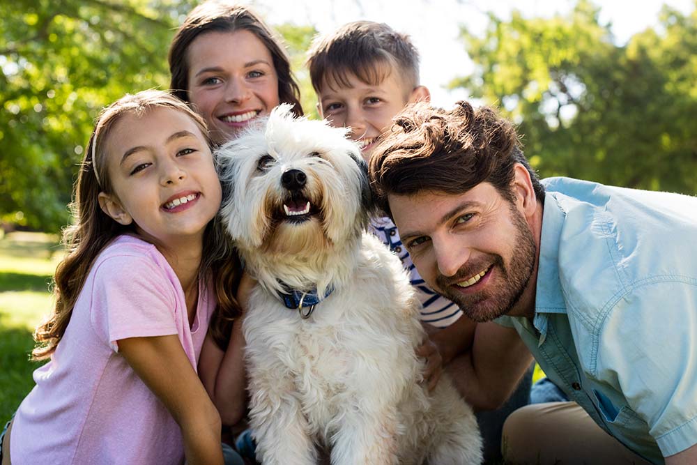 Perche un cane intelligente e amorevole buono per la famiglia