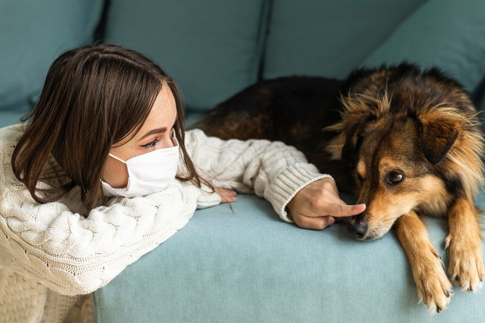 Prevention des infections respiratoires chez les chiens
