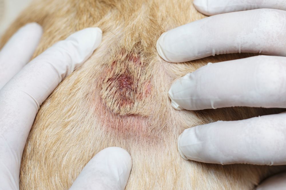 Regime approprie pour prevenir la dermatite