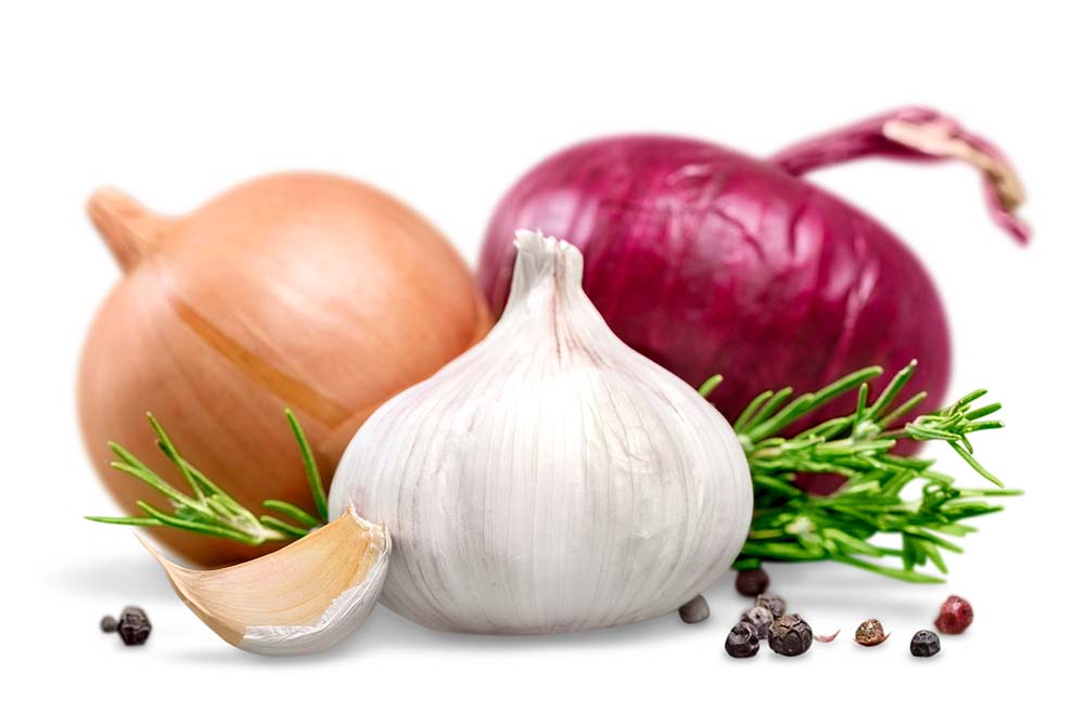 Alimenti da evitare cani problemi gastrointestinali
