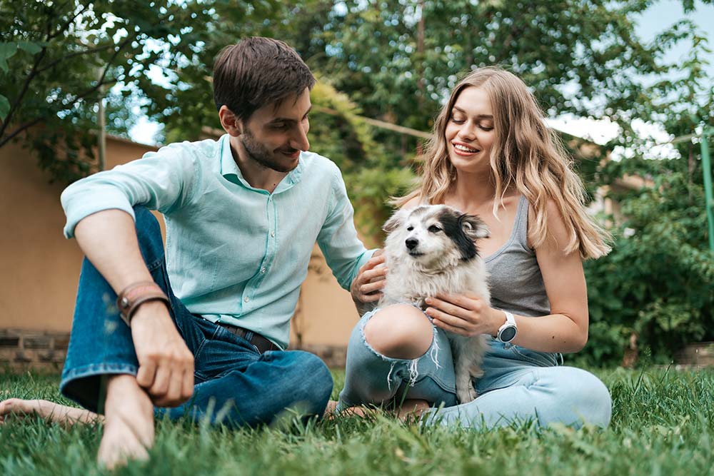Comment garder votre chien age en bonne sante