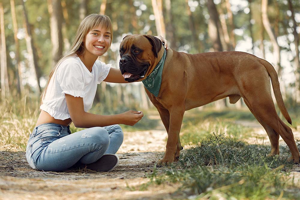 Razze di cani pelo corto Boxer