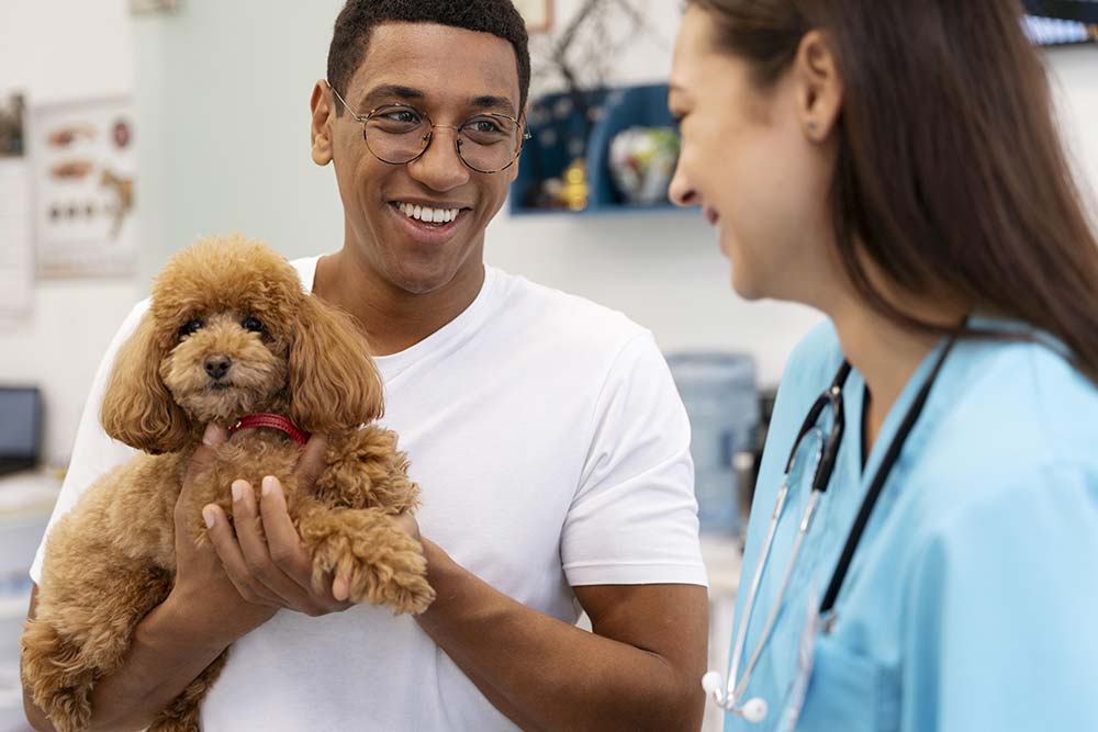 Caniche enano salud cuidados