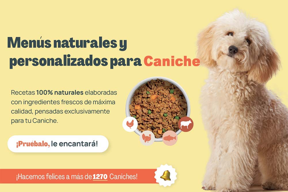 Caniche menus naturales personalizados