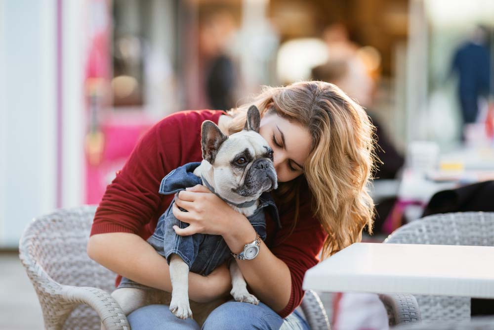 Caracteristiques et comportement de la race bouledogue francais