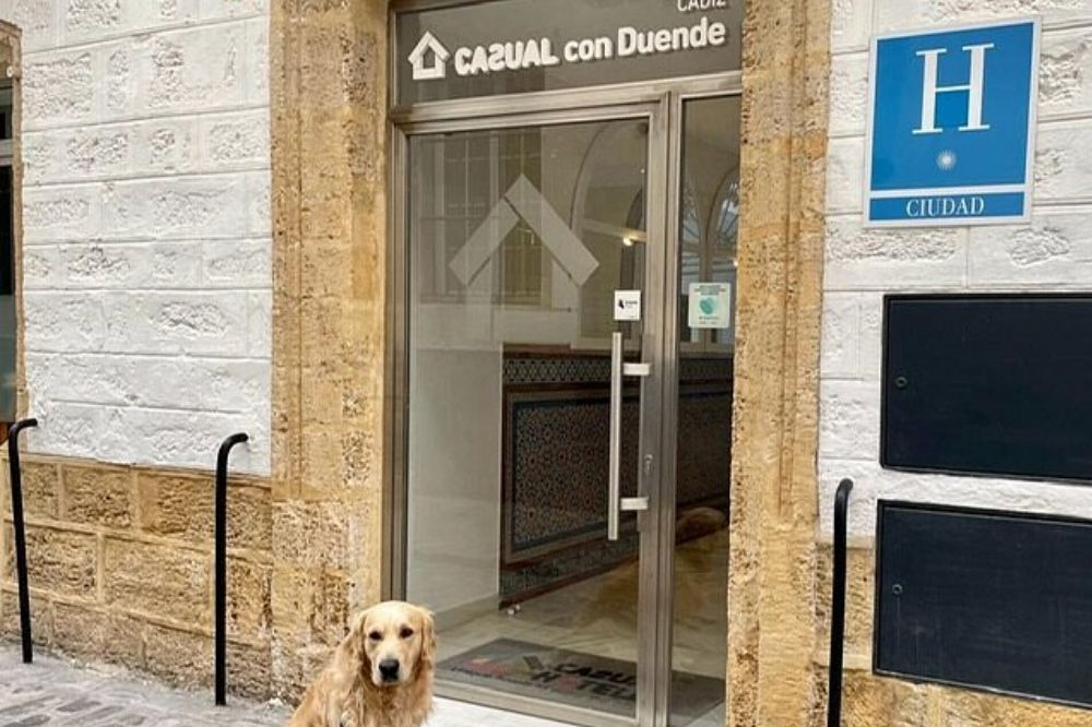 Casual con Duende