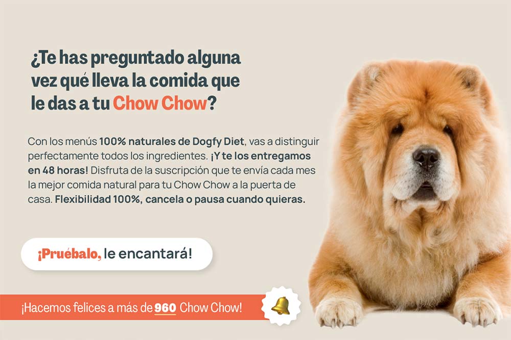 Chow chow te has preguntado