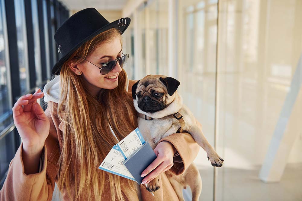 Consejos para viajar en avion con tu perro