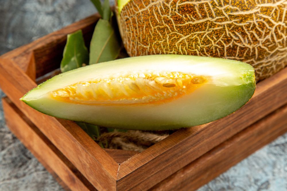 Cosa fare se il cane mangia troppo melone