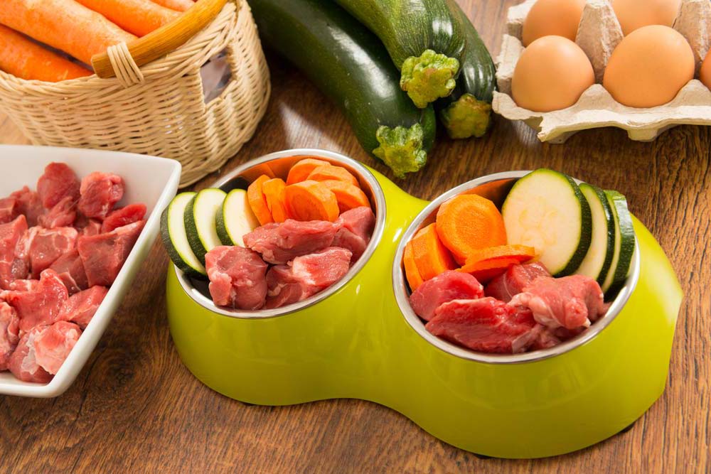 Les aliments frais et la sante du berger allemand
