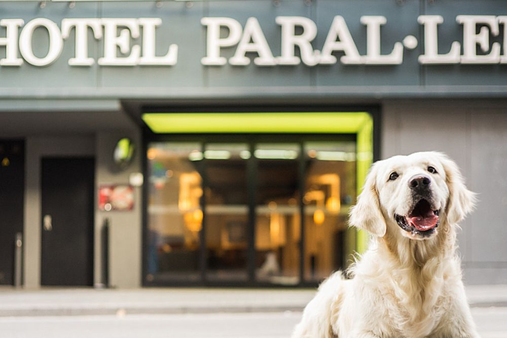 Paral·lel