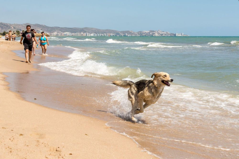 Playa del Brosquil
