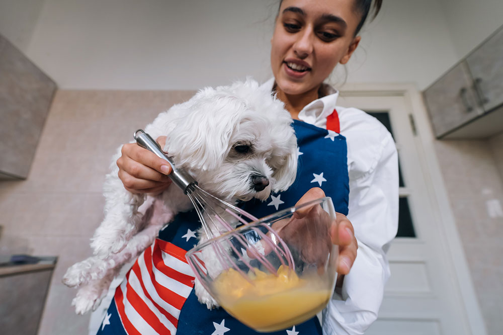 Uova crude o uova sode qual e il migliore per il tuo cane