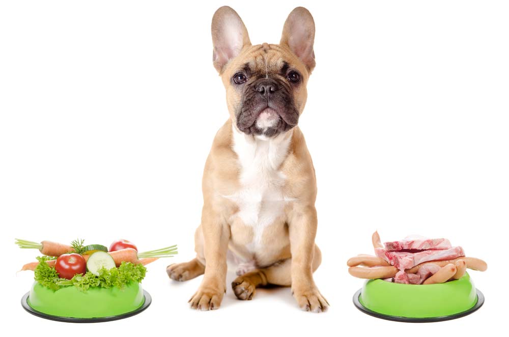 Ventajas de la alimentacion natural bulldog frances