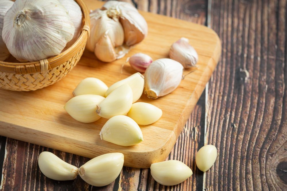 aglio viene utilizzato nella dieta BARF per cani