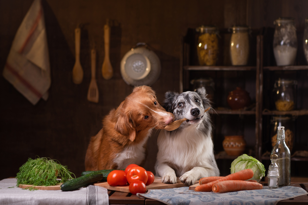 cuanto debe comer un perro