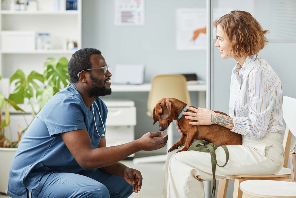 Traitement et suivi de l hypothyroidie chez le chien