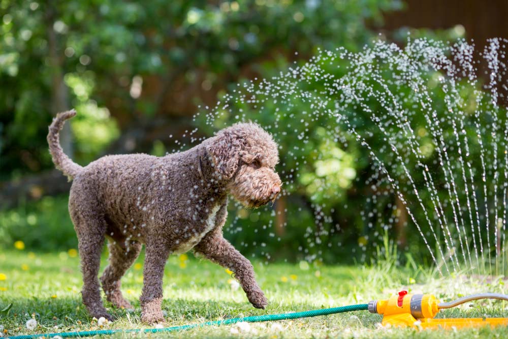 enfriamiento adicional calor del verano