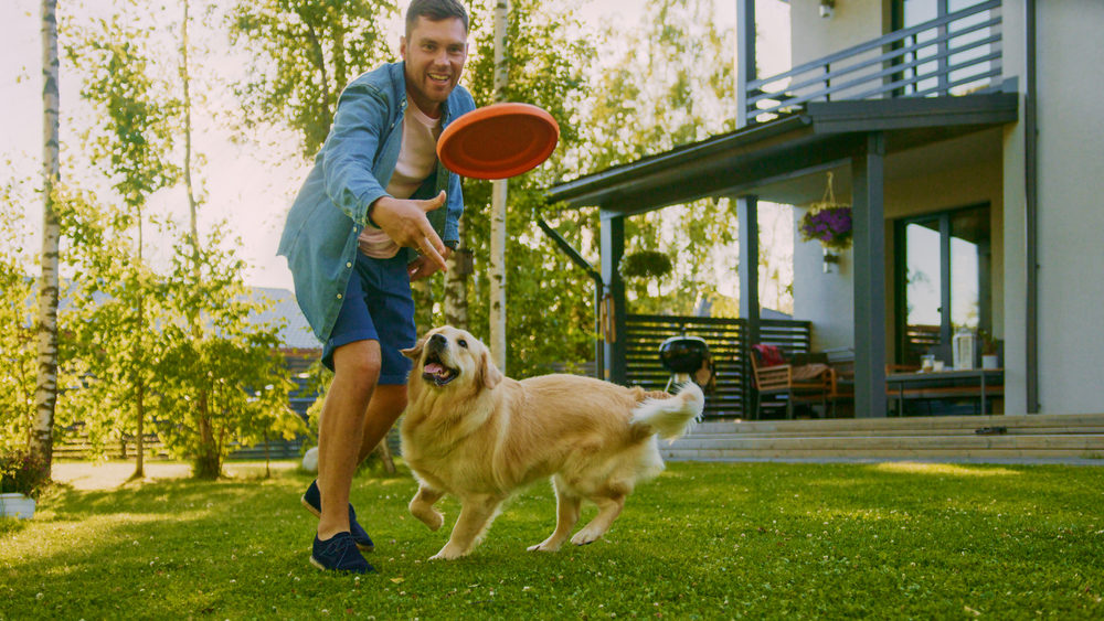 actividad fisica para perros