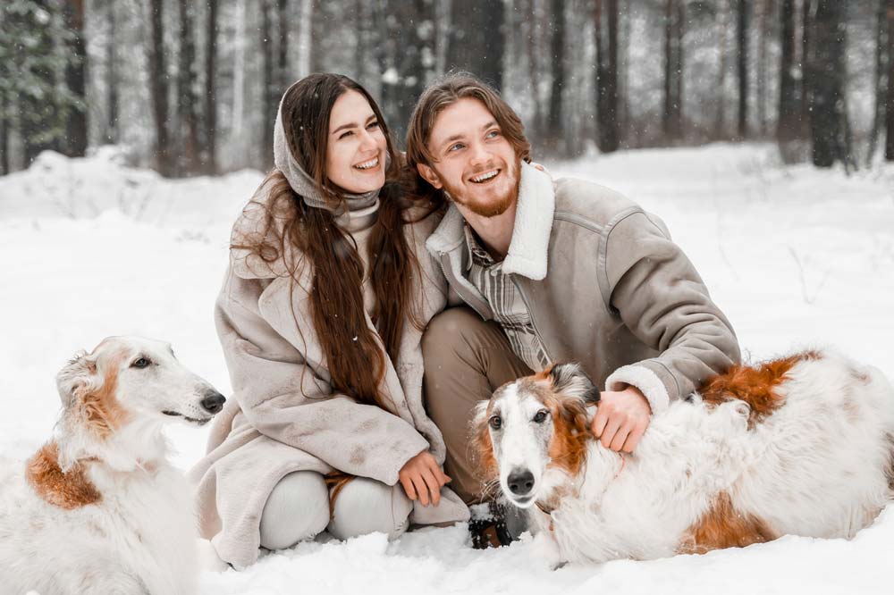 Borzoi nieve