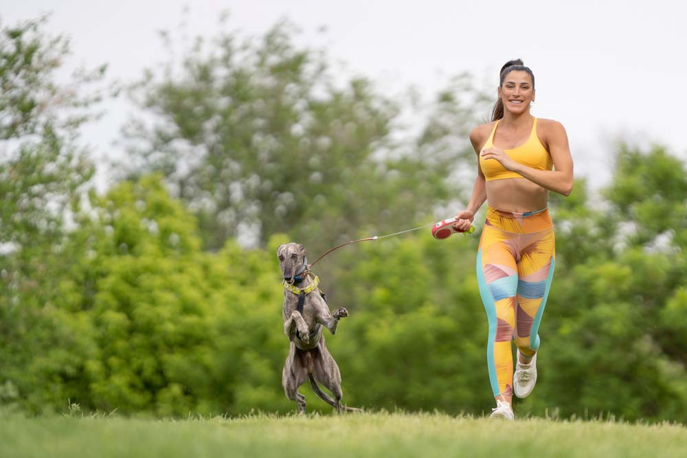 Galgo ejercicio