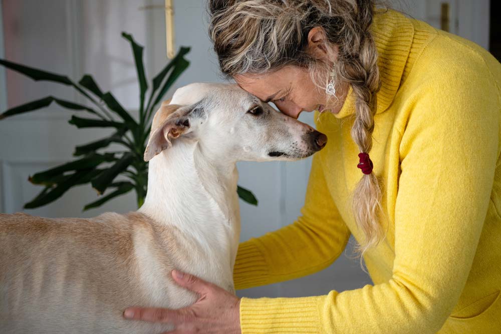 Galgo para pisos