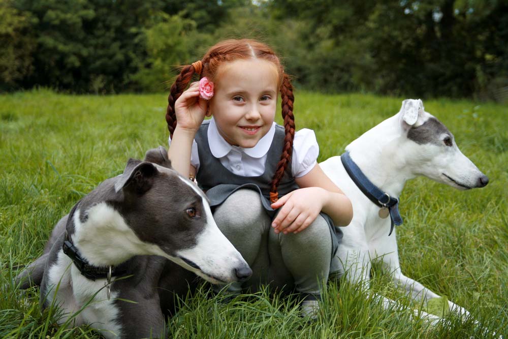 Galgos ninios