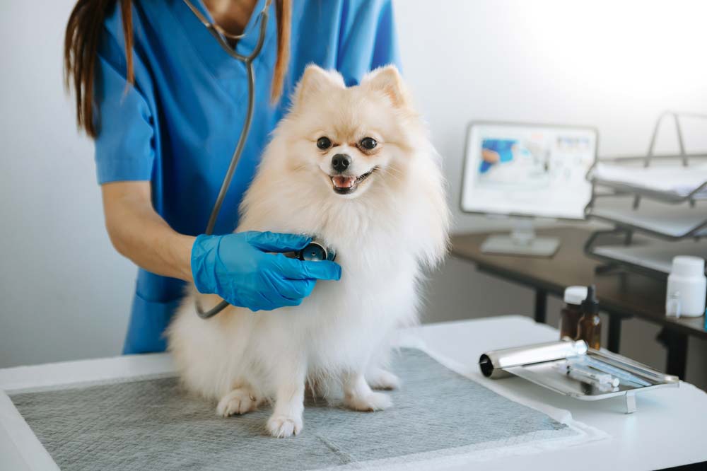 Pomerania