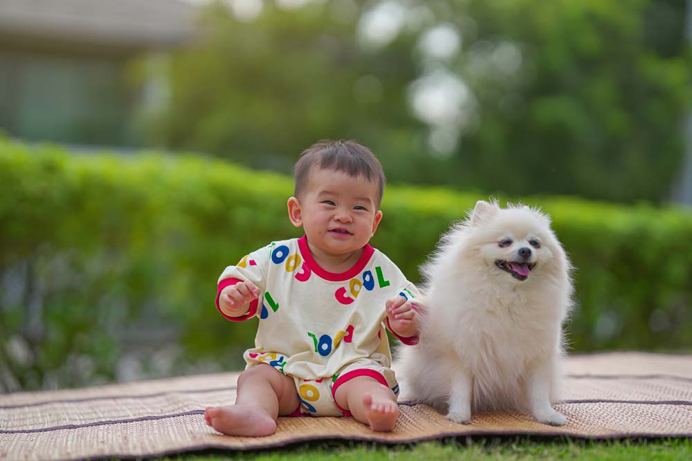 Pomerania