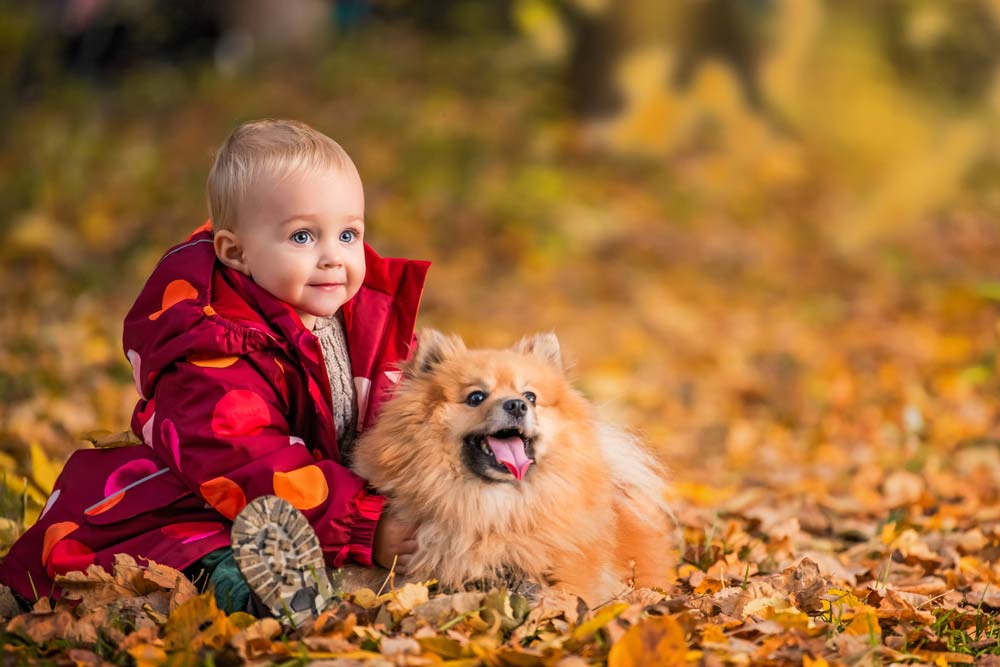 Pomerania