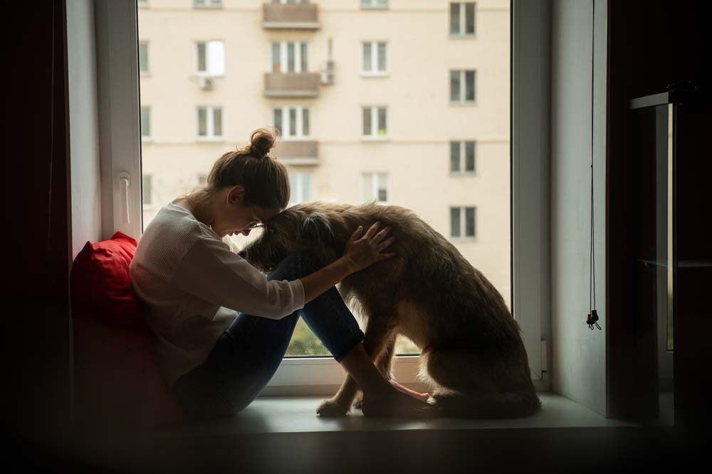 Depresion en perros causas
