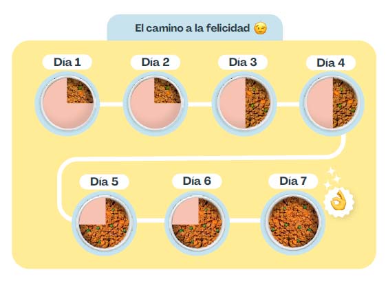 Transicion esquema