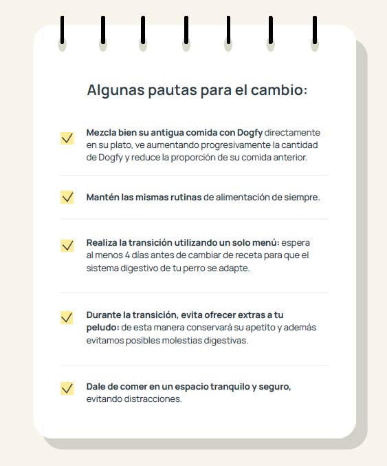 Transicion pautas