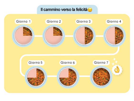 Transizione schema