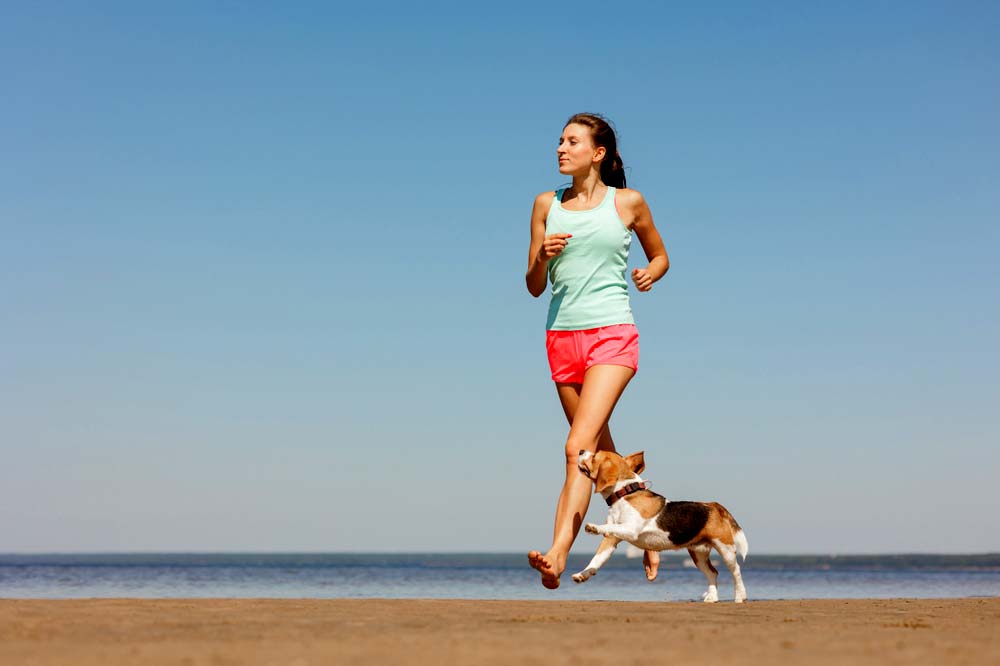 Alimentazione di cani con elevata attivita? fisica