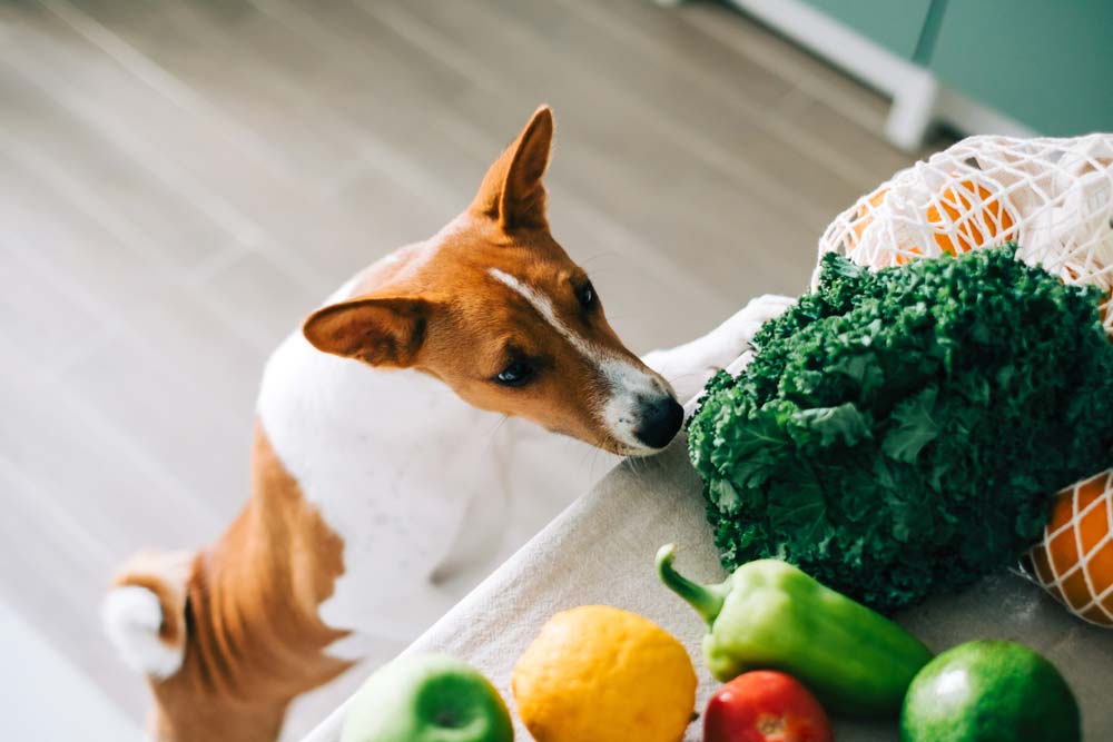 Alimenti verdure leggere