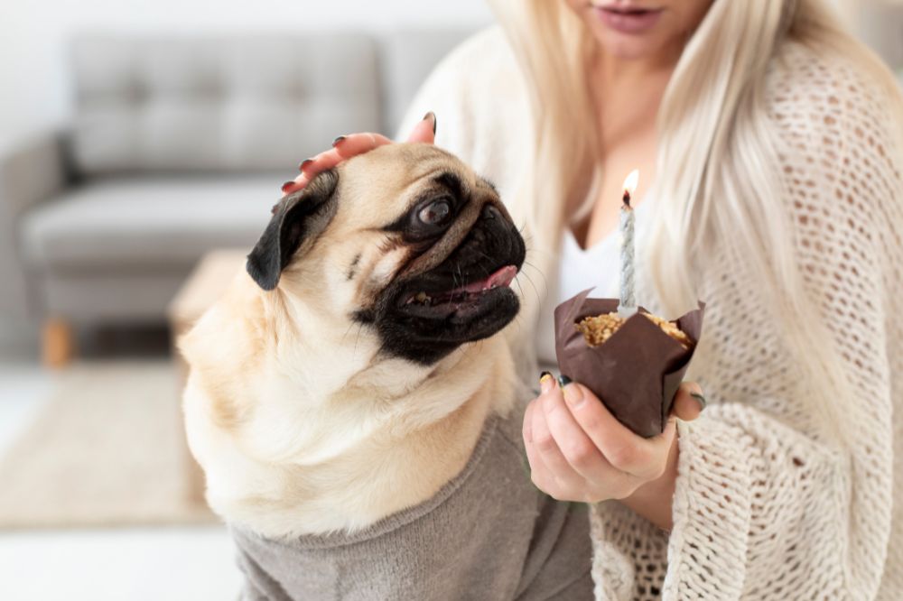 Cibi proibiti per cani in gravidanza