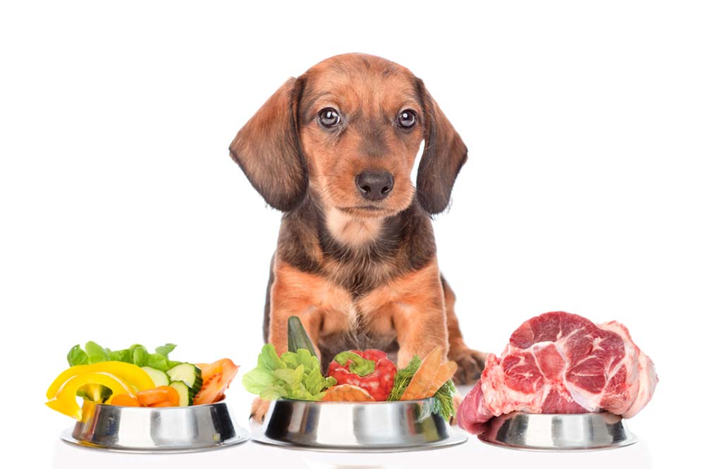I vantaggi della salsiccia per bassotto con alimentazione naturale